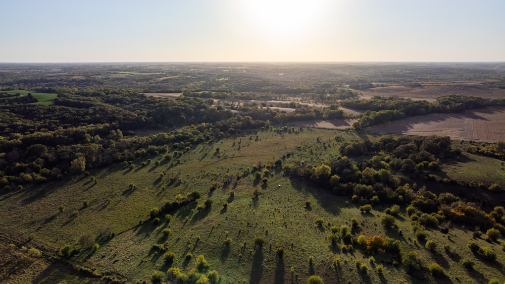 Exceptional Pasture Farm with World-Class Hunting & Recreational Potential