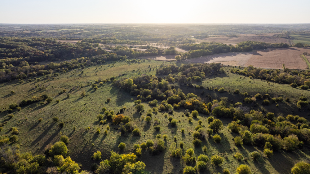 Exceptional Pasture Farm with World-Class Hunting & Recreational Potential
