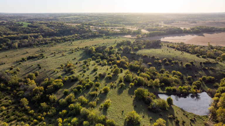 Exceptional Pasture Farm with World-Class Hunting & Recreational Potential