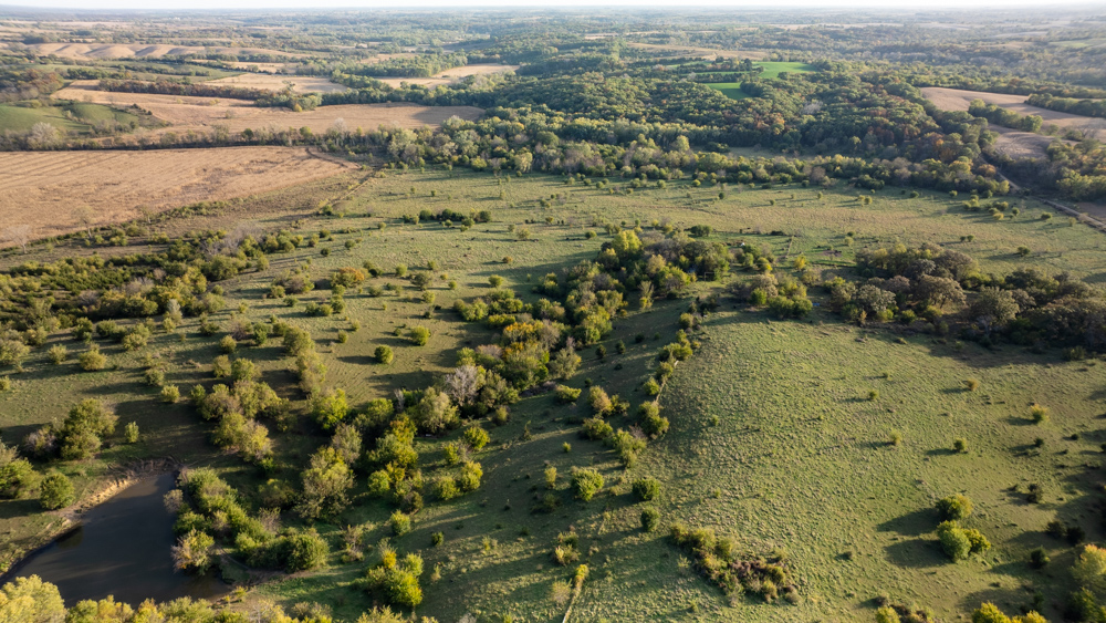 Exceptional Pasture Farm with World-Class Hunting & Recreational Potential
