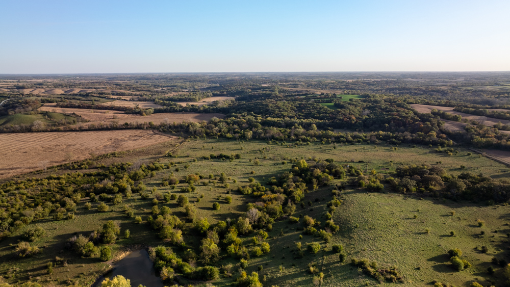 Exceptional Pasture Farm with World-Class Hunting & Recreational Potential