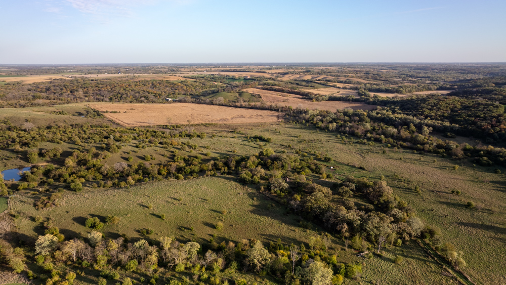Exceptional Pasture Farm with World-Class Hunting & Recreational Potential
