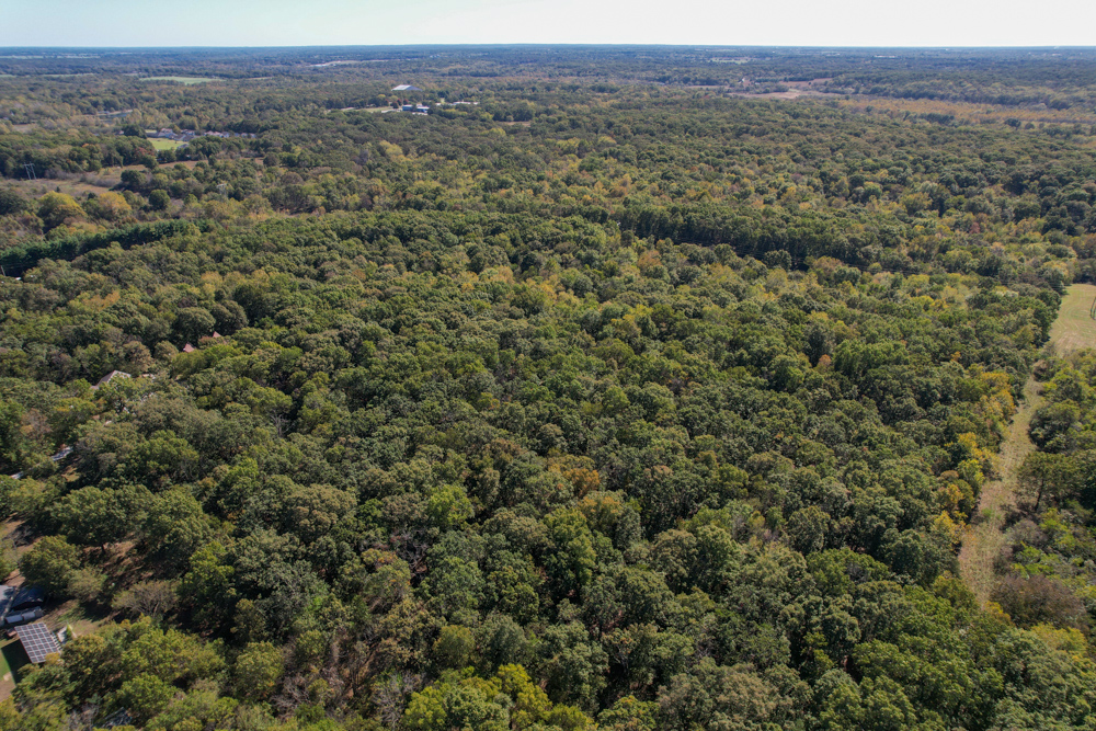 Premier Build Sites and Trophy Deer Habitat Near Carthage