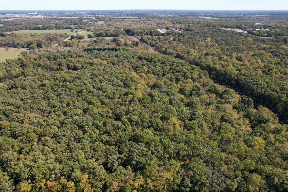 Premier Build Sites and Trophy Deer Habitat Near Carthage