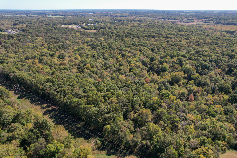 Premier Build Sites and Trophy Deer Habitat Near Carthage