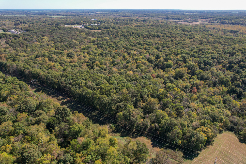Premier Build Sites and Trophy Deer Habitat Near Carthage