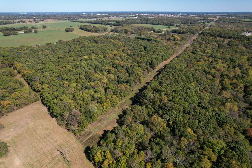 Premier Build Sites and Trophy Deer Habitat Near Carthage