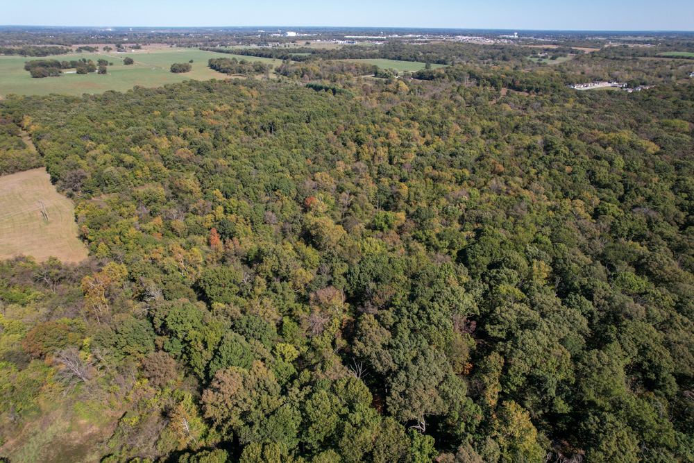 Premier Build Sites and Trophy Deer Habitat Near Carthage