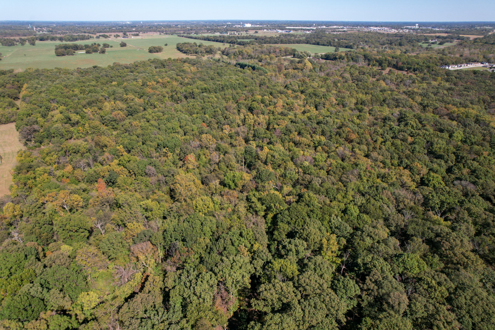Premier Build Sites and Trophy Deer Habitat Near Carthage