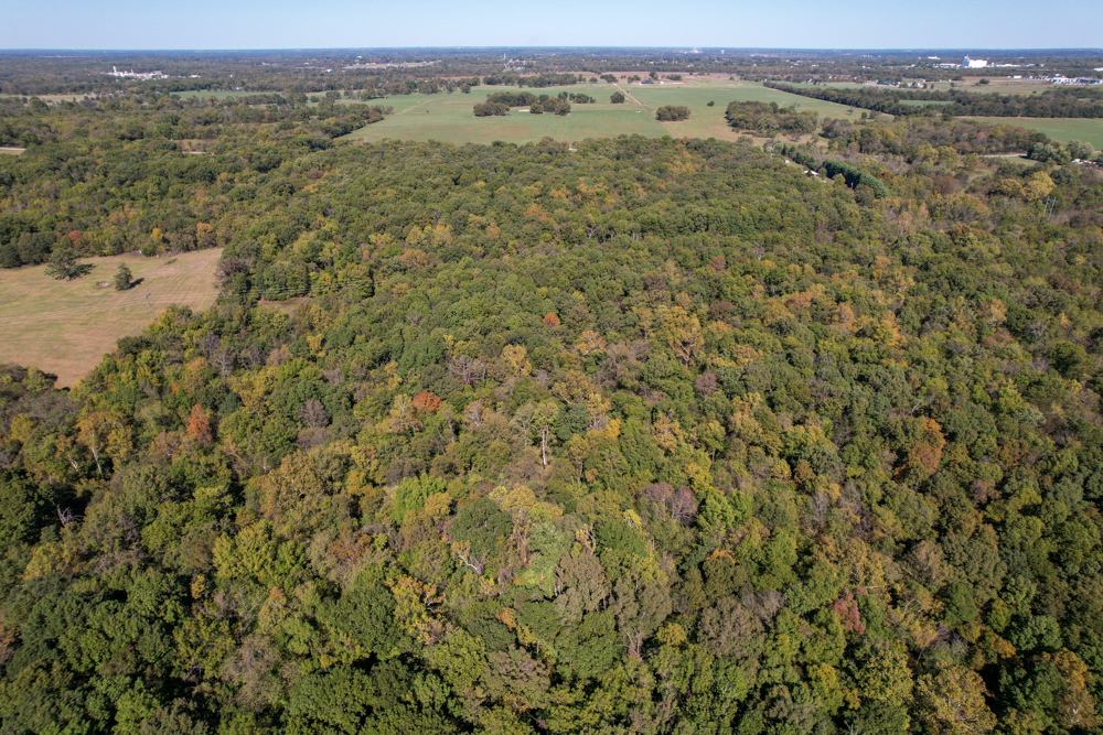 Premier Build Sites and Trophy Deer Habitat Near Carthage