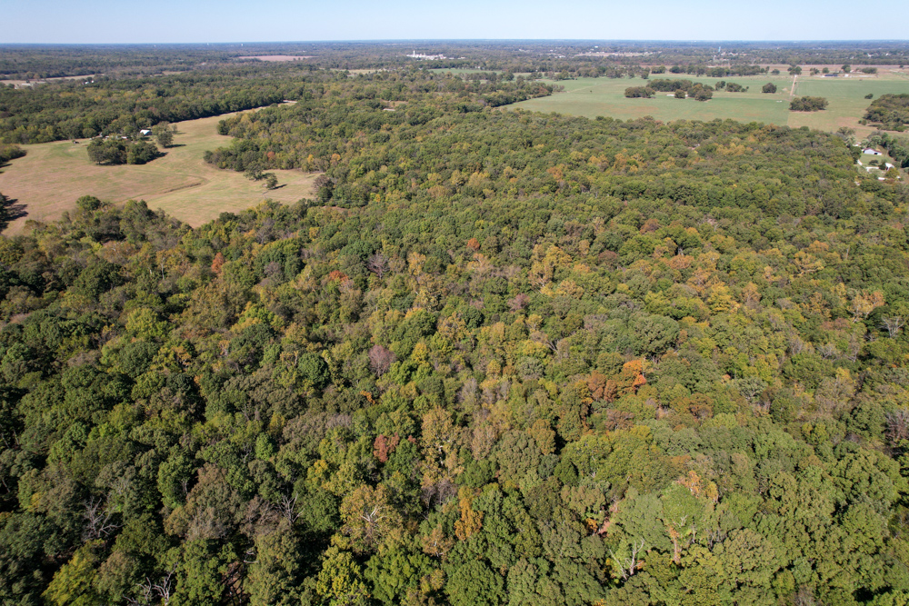Premier Build Sites and Trophy Deer Habitat Near Carthage