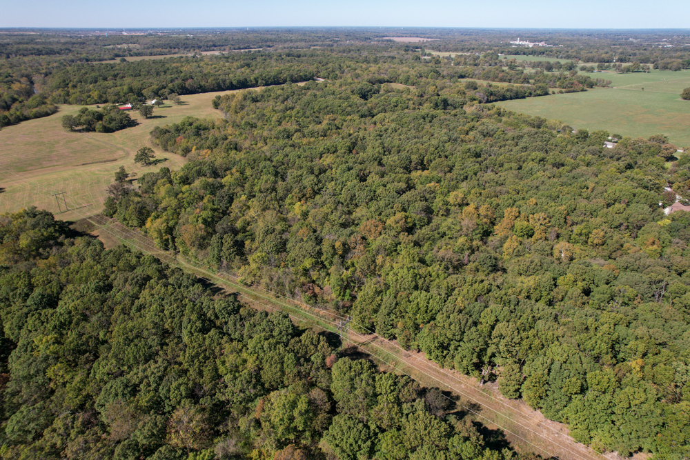 Premier Build Sites and Trophy Deer Habitat Near Carthage