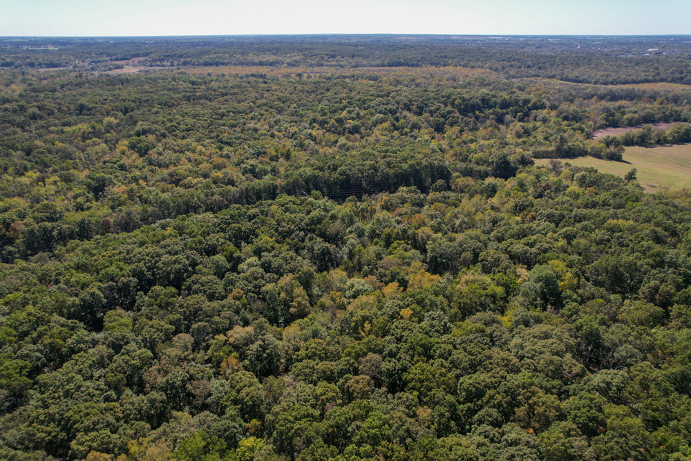 Premier Build Sites and Trophy Deer Habitat Near Carthage