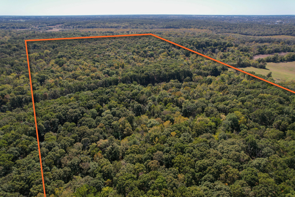 Premier Build Sites and Trophy Deer Habitat Near Carthage