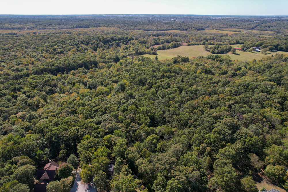 Premier Build Sites and Trophy Deer Habitat Near Carthage
