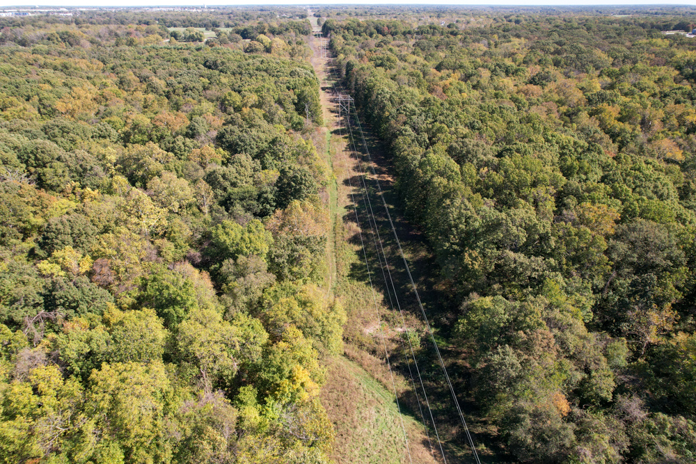 Premier Build Sites and Trophy Deer Habitat Near Carthage