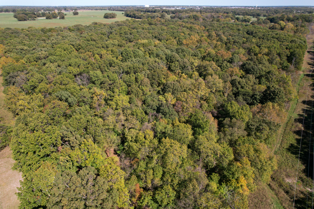 Premier Build Sites and Trophy Deer Habitat Near Carthage