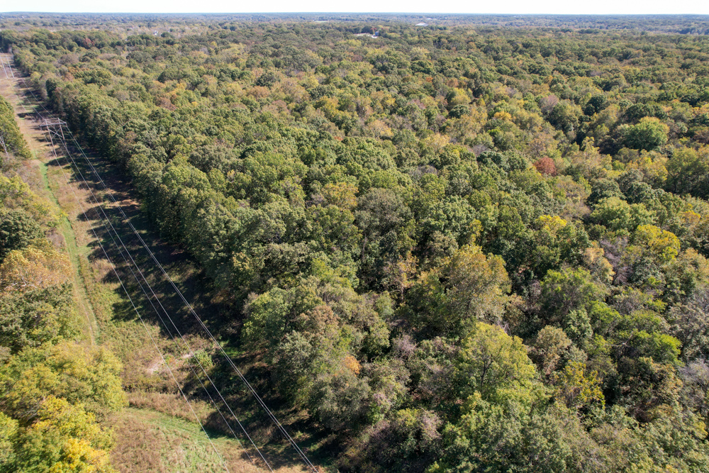 Premier Build Sites and Trophy Deer Habitat Near Carthage