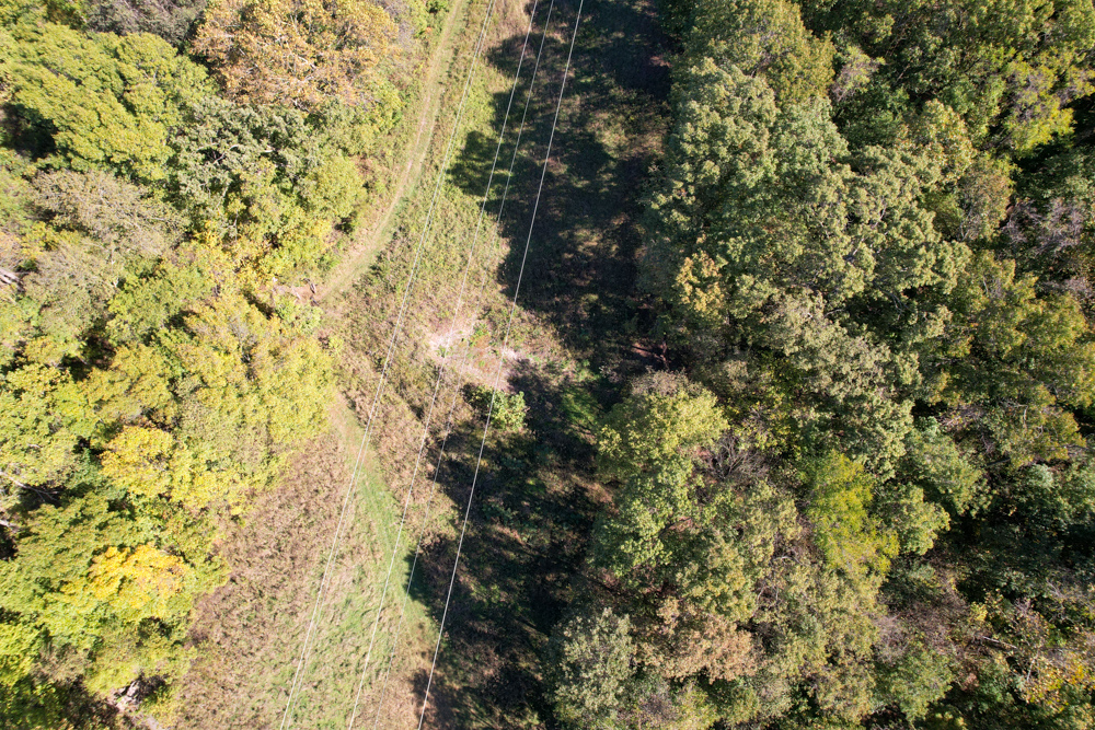 Premier Build Sites and Trophy Deer Habitat Near Carthage