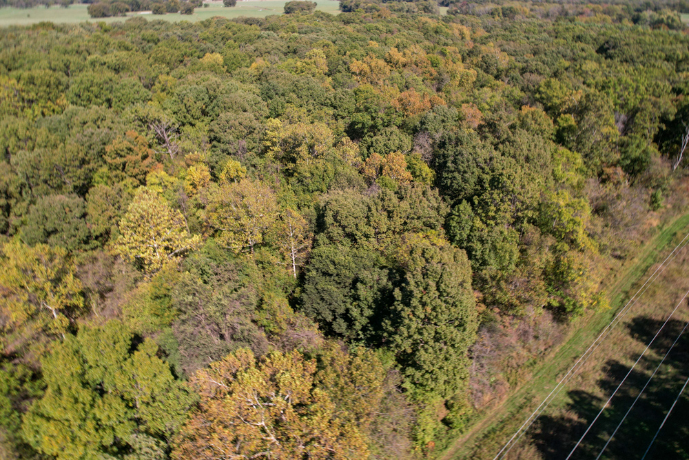 Premier Build Sites and Trophy Deer Habitat Near Carthage