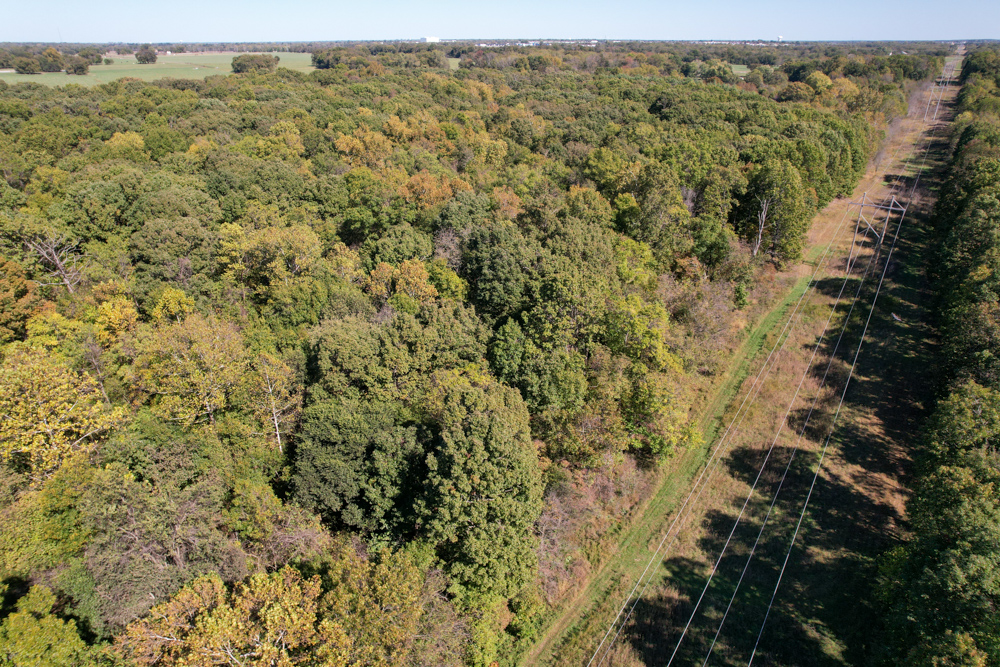 Premier Build Sites and Trophy Deer Habitat Near Carthage