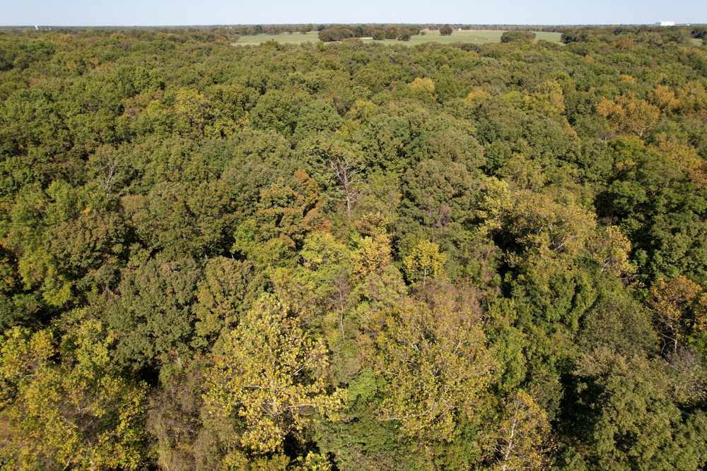 Premier Build Sites and Trophy Deer Habitat Near Carthage