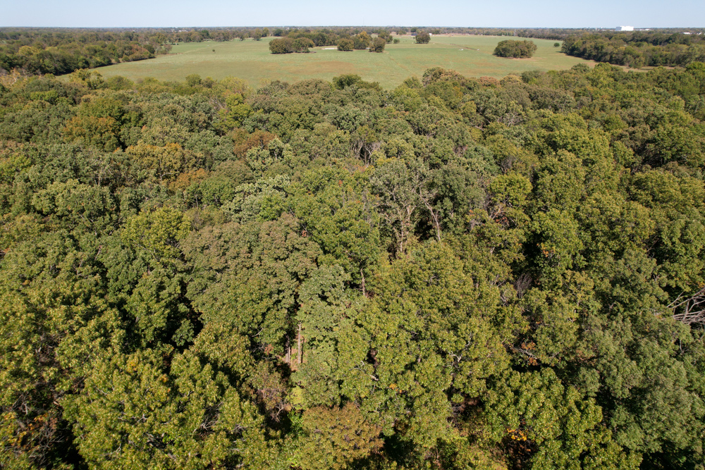 Premier Build Sites and Trophy Deer Habitat Near Carthage
