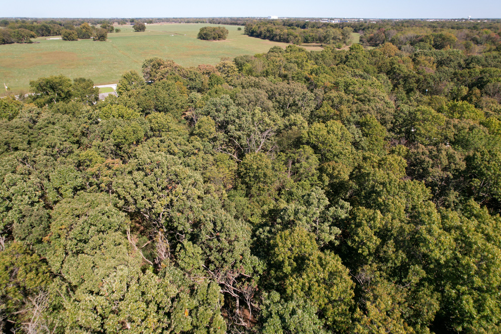 Premier Build Sites and Trophy Deer Habitat Near Carthage