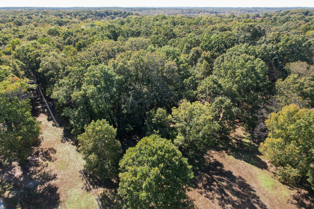 Premier Build Sites and Trophy Deer Habitat Near Carthage