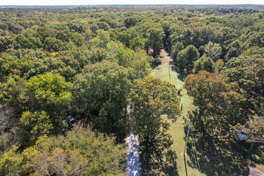 Premier Build Sites and Trophy Deer Habitat Near Carthage