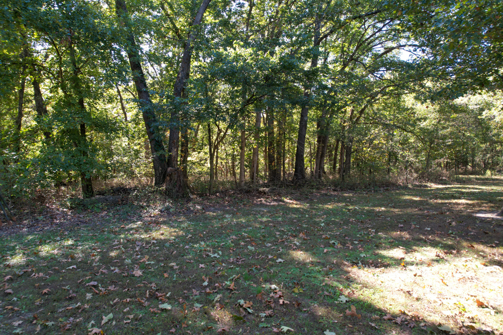 Premier Build Sites and Trophy Deer Habitat Near Carthage