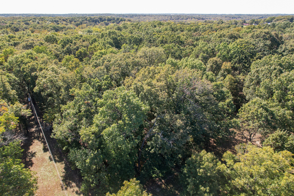 Premier Build Sites and Trophy Deer Habitat Near Carthage