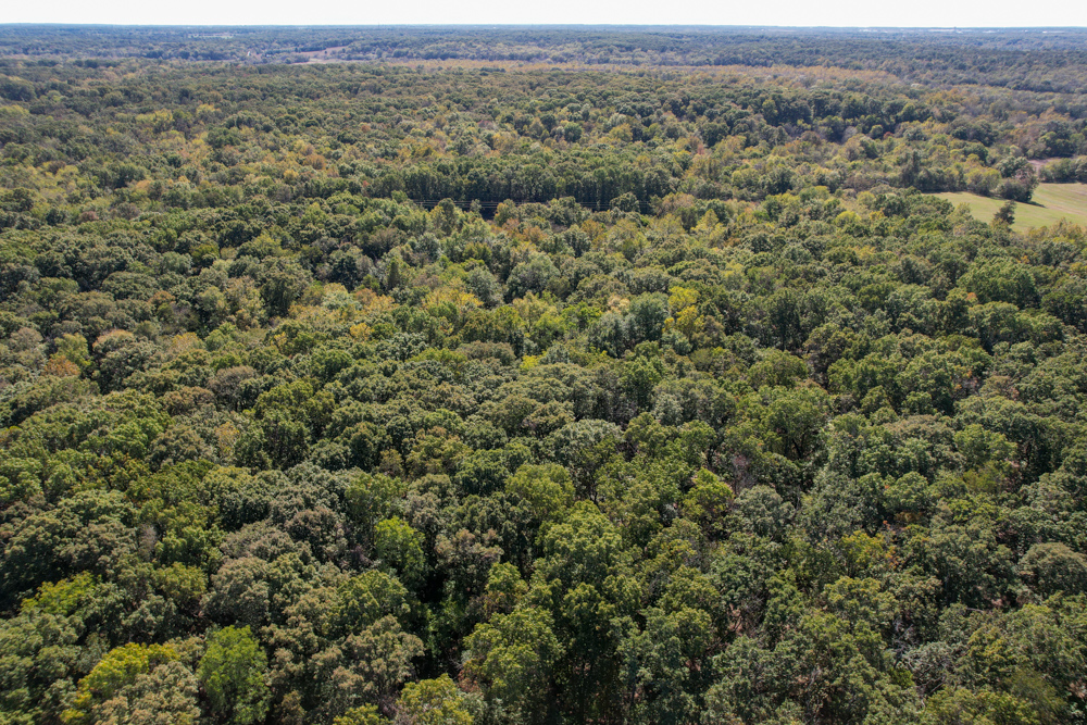 Premier Build Sites and Trophy Deer Habitat Near Carthage