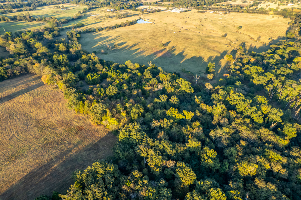 Stunning Multi-Purpose Farm Just 4 Minutes From Award Winning Bass Fishing on Lake Fork