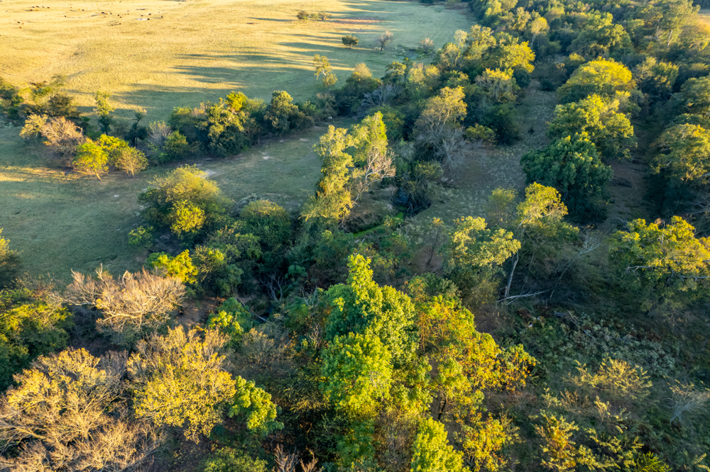 Stunning Multi-Purpose Farm Just 4 Minutes From Award Winning Bass Fishing on Lake Fork