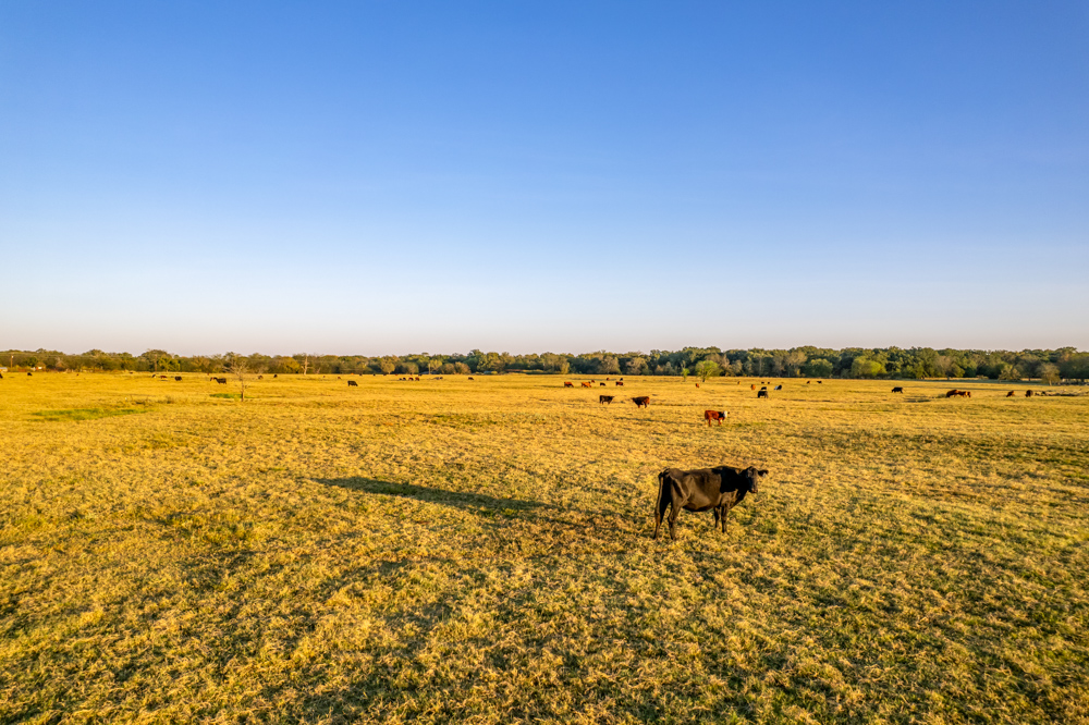 Stunning Multi-Purpose Farm Just 4 Minutes From Award Winning Bass Fishing on Lake Fork