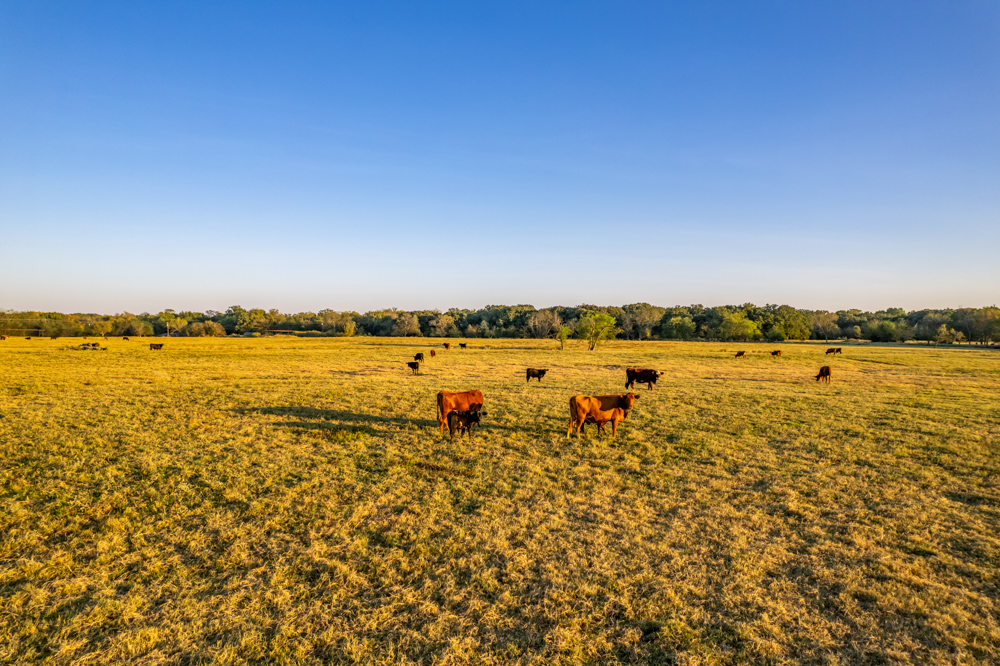 Stunning Multi-Purpose Farm Just 4 Minutes From Award Winning Bass Fishing on Lake Fork