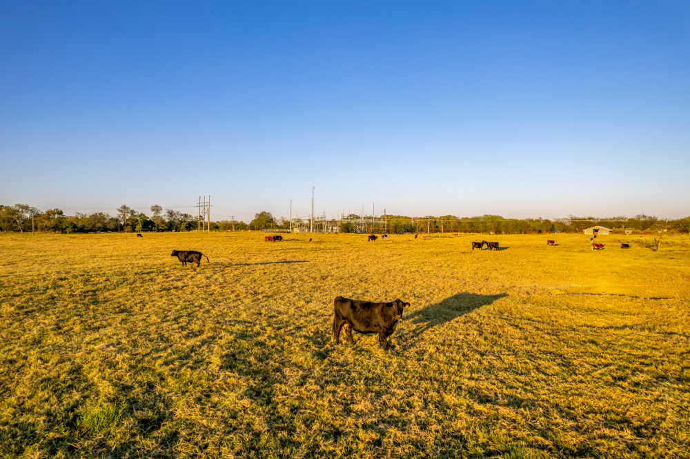 Stunning Multi-Purpose Farm Just 4 Minutes From Award Winning Bass Fishing on Lake Fork