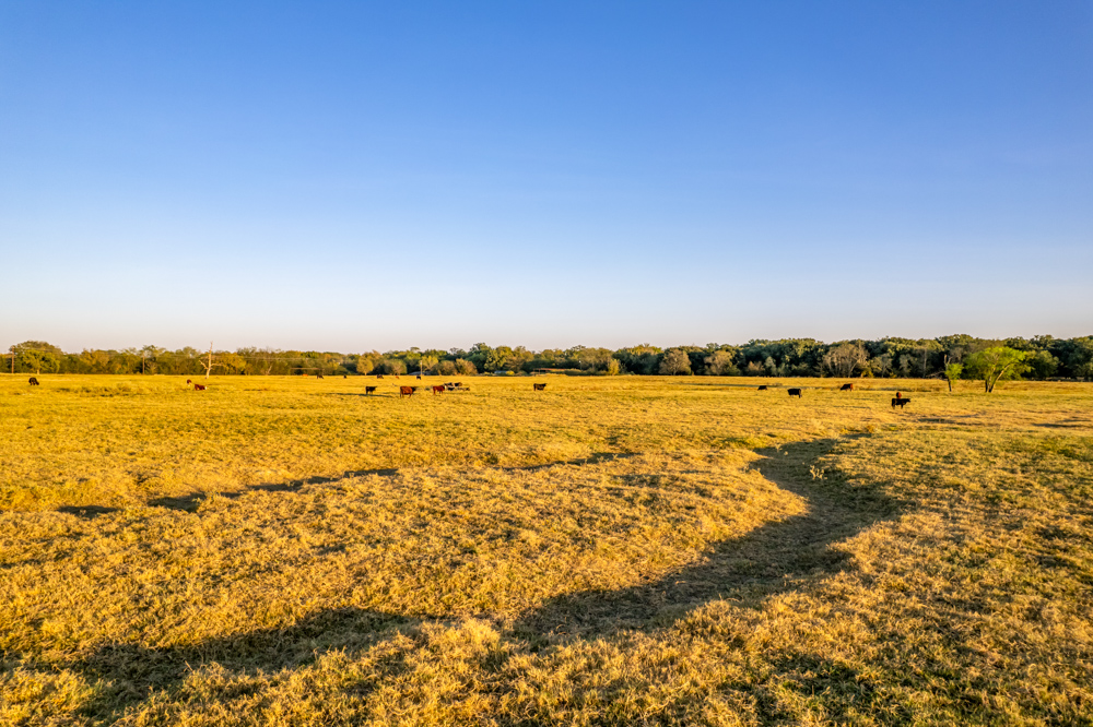 Stunning Multi-Purpose Farm Just 4 Minutes From Award Winning Bass Fishing on Lake Fork
