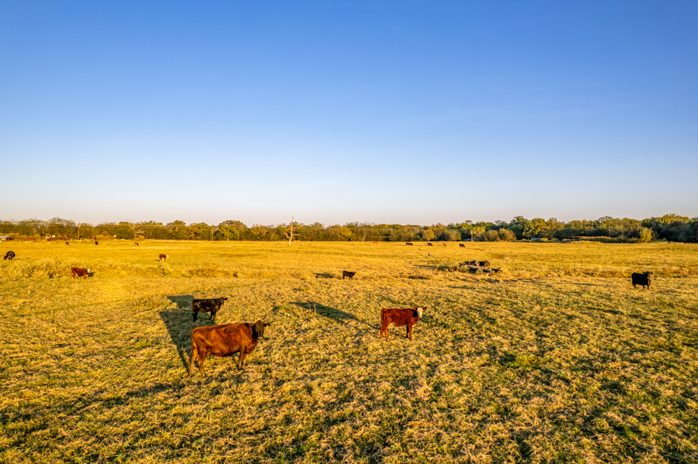 Stunning Multi-Purpose Farm Just 4 Minutes From Award Winning Bass Fishing on Lake Fork