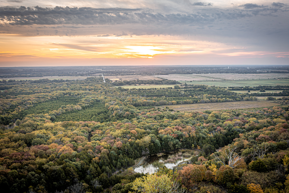 Big Bucks, Big Timber, and Big Income