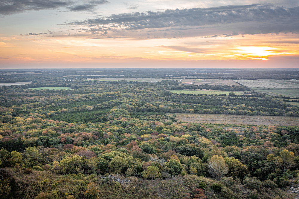 Big Bucks, Big Timber, and Big Income