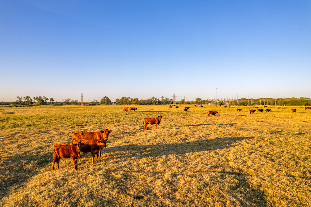 Stunning Multi-Purpose Farm Just 4 Minutes From Award Winning Bass Fishing on Lake Fork
