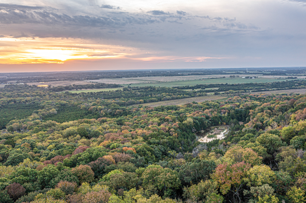 Big Bucks, Big Timber, and Big Income