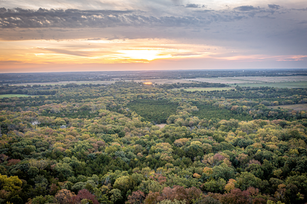 Big Bucks, Big Timber, and Big Income