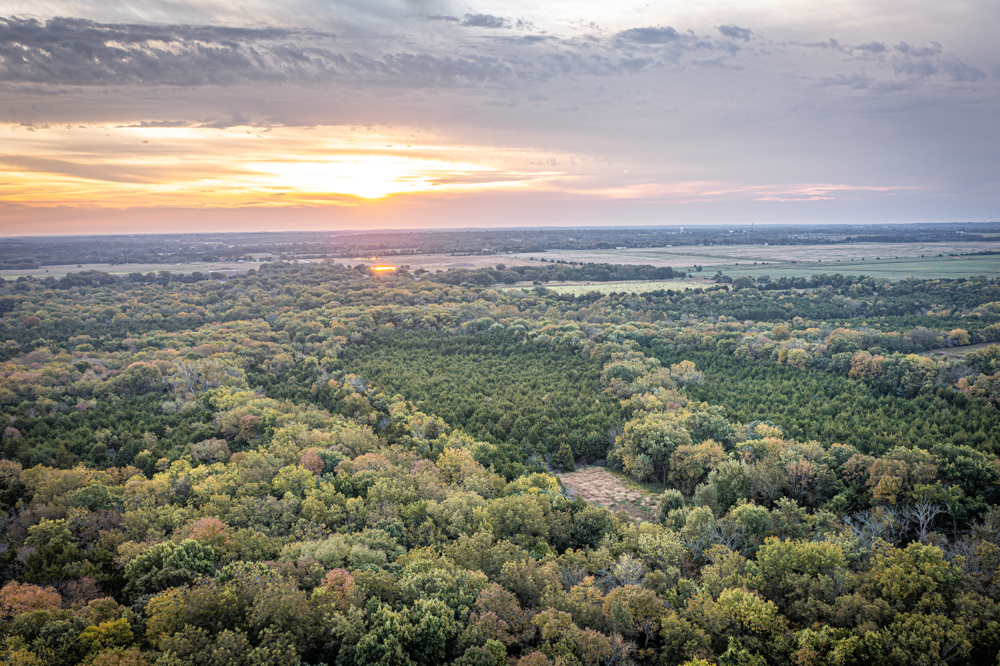 Big Bucks, Big Timber, and Big Income