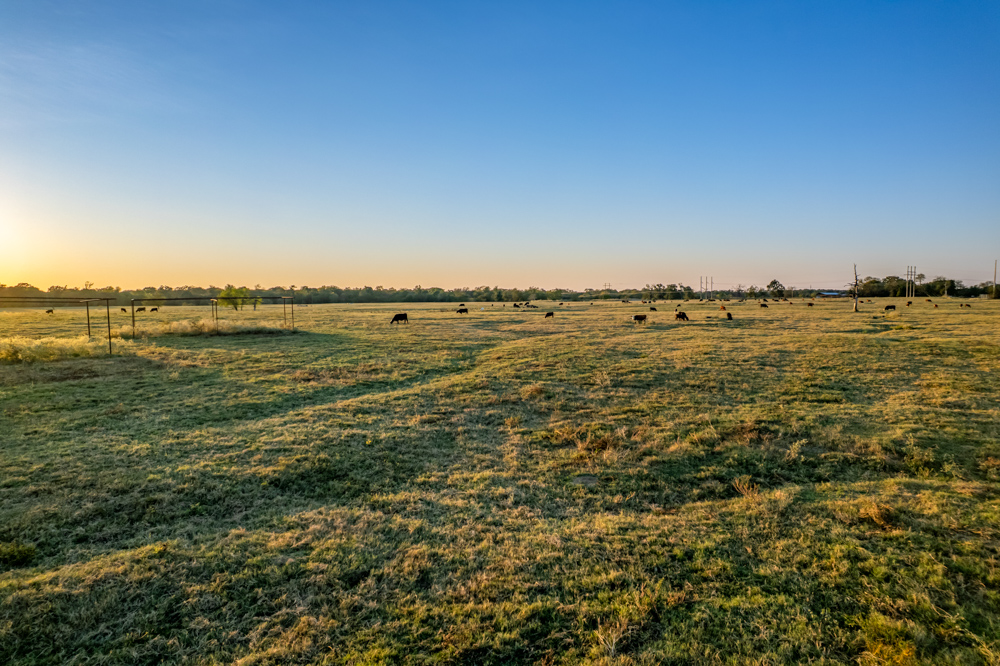 Stunning Multi-Purpose Farm Just 4 Minutes From Award Winning Bass Fishing on Lake Fork
