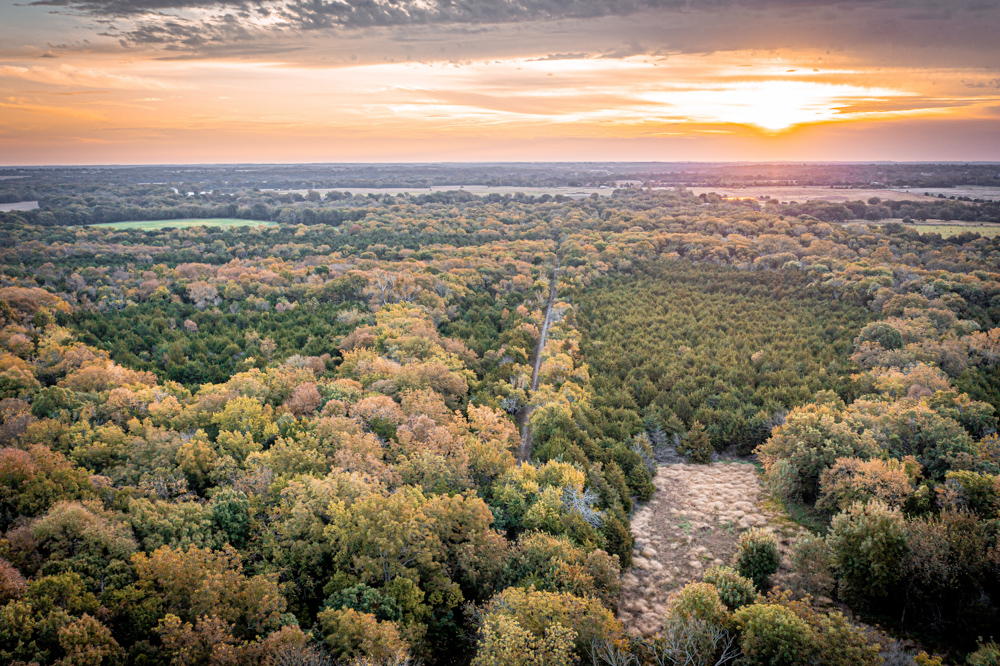 Big Bucks, Big Timber, and Big Income