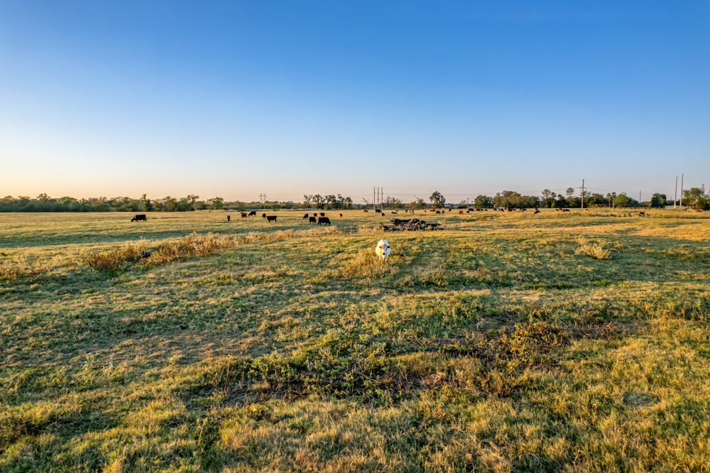Stunning Multi-Purpose Farm Just 4 Minutes From Award Winning Bass Fishing on Lake Fork
