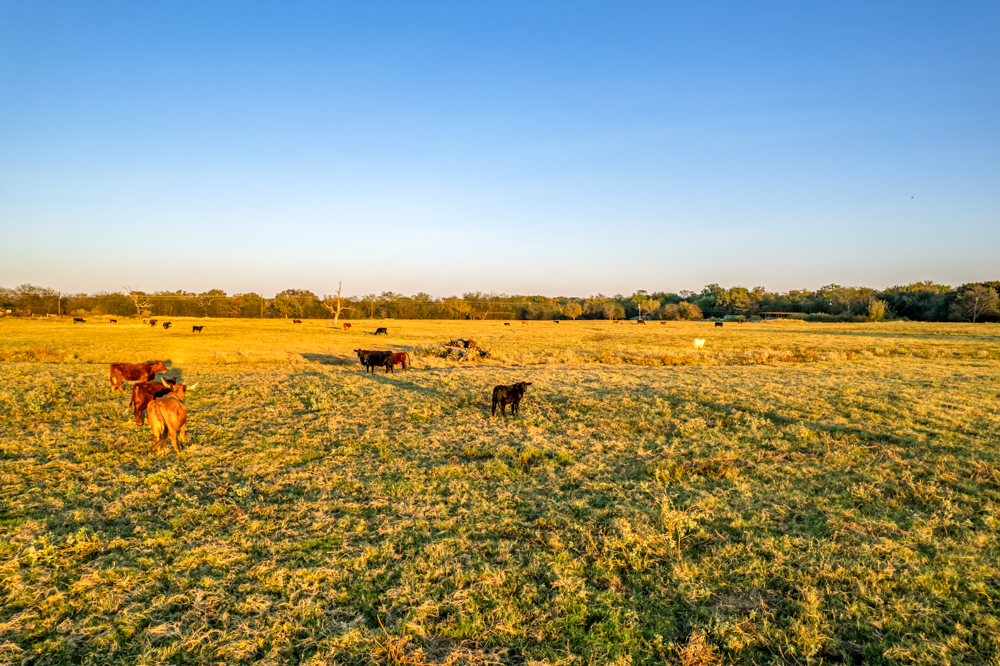 Stunning Multi-Purpose Farm Just 4 Minutes From Award Winning Bass Fishing on Lake Fork